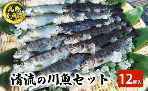 清流の川魚セット12尾入（ヤマメ・イワナ・ニジマス・アユ）
