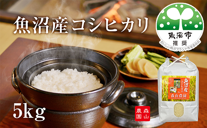 令和7年産 森山農園 魚沼産コシヒカリ 5kg お米 コシヒカリ