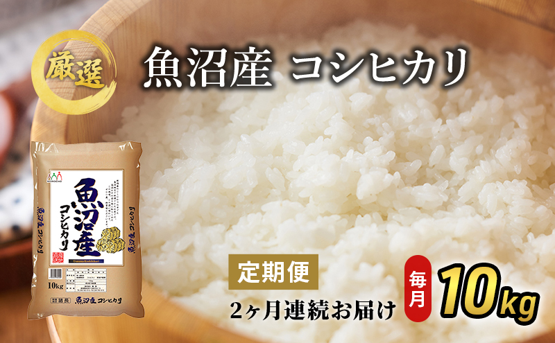魚沼産コシヒカリ 10kg 2ヶ月 連続お届け （ 米 定期便 コシヒカリ 魚沼産 精米 白米 お米 こめ コメ こしひかり 魚沼 2回 お楽しみ ）