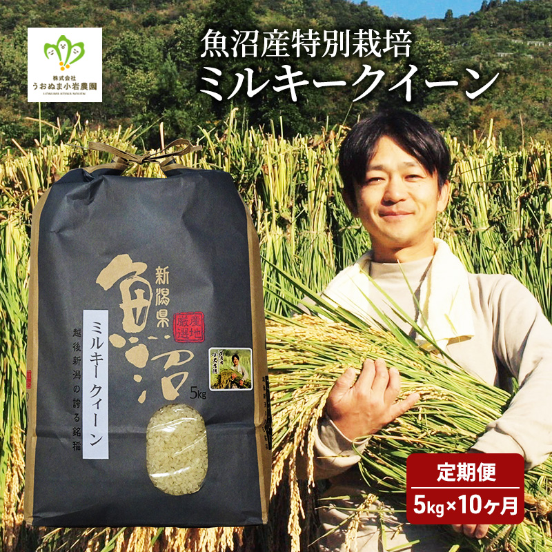 魚沼産 特別栽培 ミルキークイーン 5kg袋 10ヶ月 連続お届け ( 米 定期便 お米 こめ コメ おこめ 白米 こしひかり 10回 50kg お楽しみ ) 新潟県