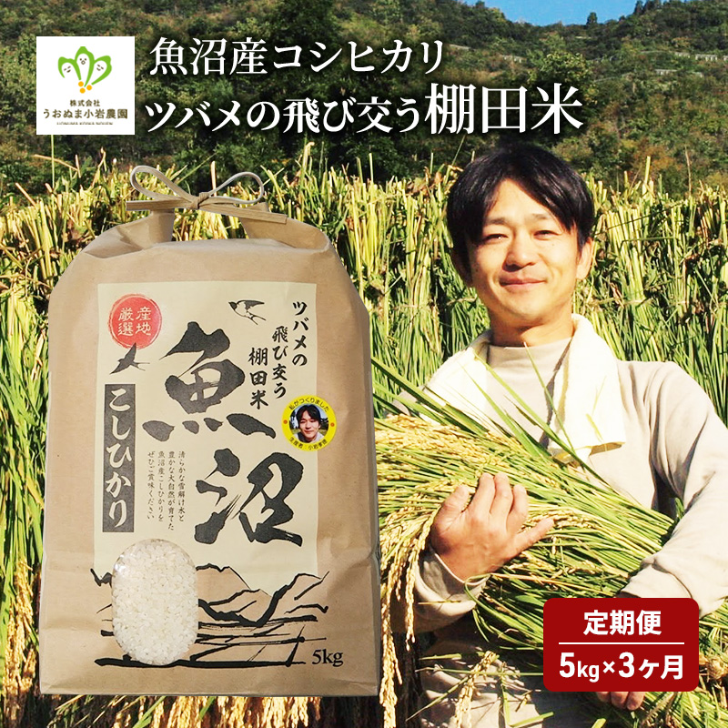 ツバメの飛び交う棚田米 5kg袋 3ヶ月連続お届け お米 コシヒカリ