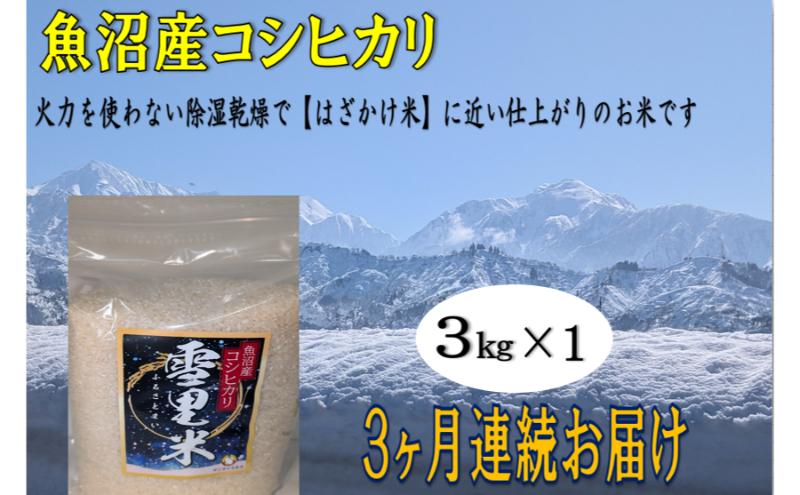 生産者直送！魚沼産コシヒカリ【雪里米 ふるさとまい】 精米 3kg  3ヶ月連続お届け