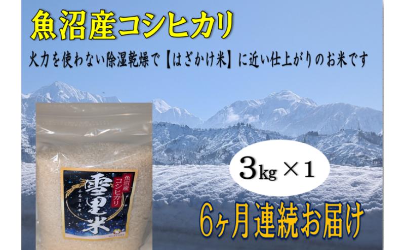 生産者直送！ 魚沼産コシヒカリ 【雪里米 ふるさとまい】 精米 3kg 6ヶ月 連続お届け （ 米 定期便 コシヒカリ 魚沼産 雪里米 ふるさと米 白米 お米 こめ コメ こしひかり 魚沼 半年 6回 お楽しみ ）