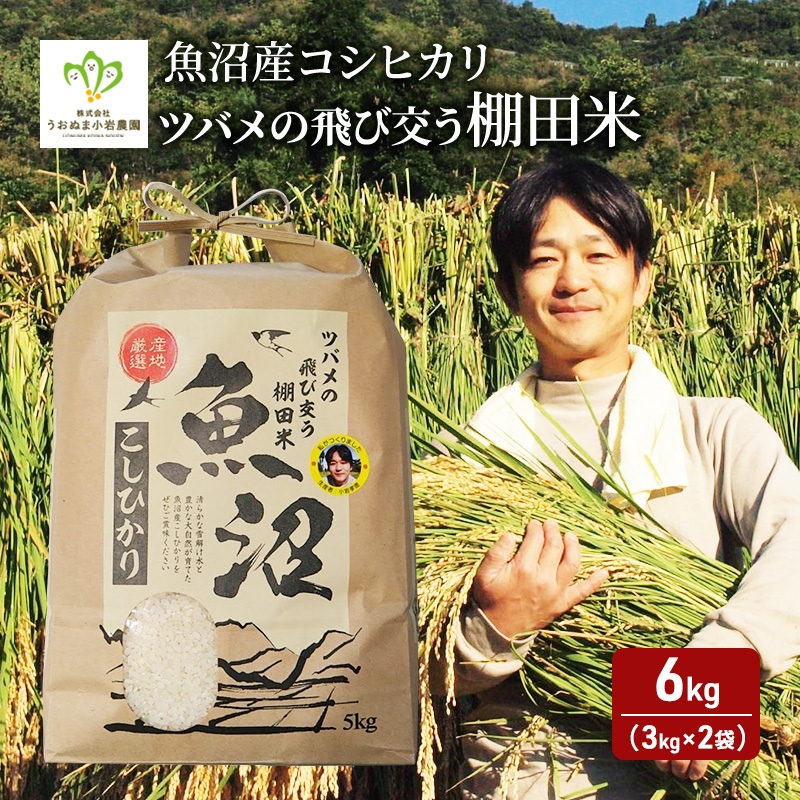 令和7年産 ツバメの飛び交う棚田米 精米6kg（3kg×2袋） お米 白米 ライス ご飯 ブランド米 銘柄米 コシヒカリ 魚沼産コシヒカリ 旨味 新潟県産 魚沼市産