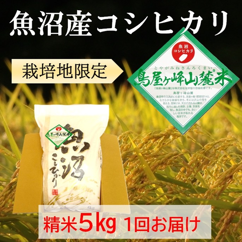 令和7年産 魚沼コシヒカリ 鳥屋ヶ峰山麓米（精米）5kg×1 お米