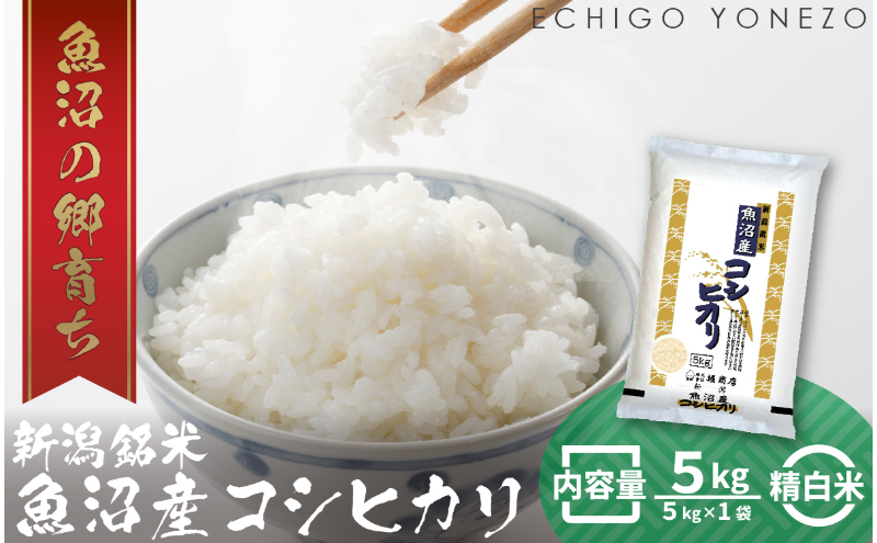 令和7年産 魚沼産コシヒカリ（精米）5kg お米 白米 ご飯 ブランド米 銘柄米 おにぎり お弁当 和食 産地直送 粘り モチっと食感 上品な甘み