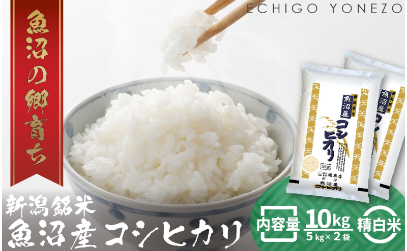 令和7年産 魚沼産コシヒカリ（精米）10kg お米 白米 ご飯 ブランド米 銘柄米 おにぎり お弁当 和食 産地直送 粘り モチっと食感 上品な甘み