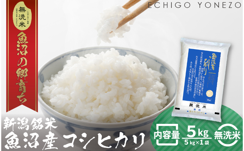 令和7年産 魚沼産コシヒカリ（無洗米）5kg お米 白米 ご飯 ブランド米 銘柄米 おにぎり お弁当 和食 産地直送 粘り モチっと食感 上品な甘み
