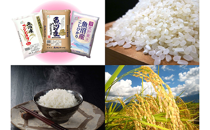 令和7年産 お米アドバイザー厳選 魚沼産米！ こだわりの 食べ比べ セット 精米 ６kg (2kg×3) ( 米 お米 こめ コメ おこめ 白米 こしひかり ) コシヒカリ