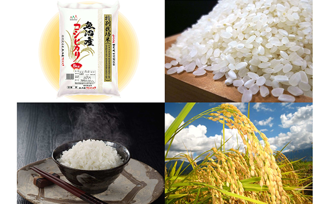 令和7年産 【特別栽培米】 お米アドバイザー厳選 魚沼産コシヒカリ (精米) 5kg （ 米 精米 白米 お米 こめ コメ こしひかり コシヒカリ 魚沼 ）