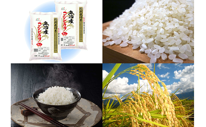 令和7年産 特別栽培米 お米アドバイザー厳選 魚沼産 コシヒカリ 精米 10kg(5kg×2袋)米 こしひかり 特別栽培 お米 魚沼産コシヒカリ 新潟