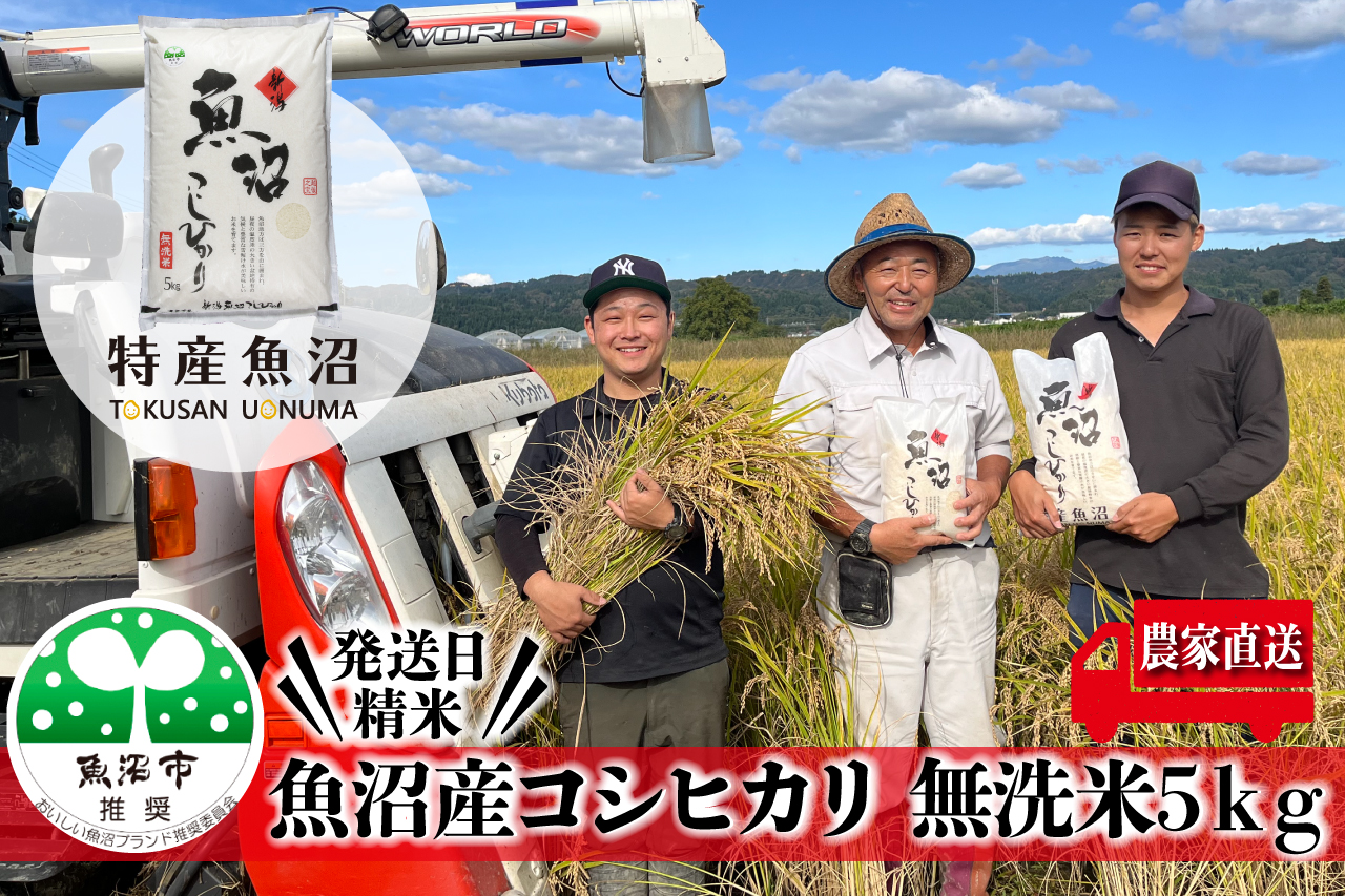 令和7年産 農家直送！ 魚沼産 コシヒカリ 無洗米 5kg （ 米 こしひかり お米 こめ コメ 魚沼産コシヒカリ 魚沼 新潟 魚沼産こしひかり おこめ 白米 精米 ）
