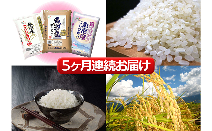 魚沼産 米 ！こだわりの食べ比べ セット 6kg 5ヶ月 連続お届け （ こしひかり 食べ比べ お米 定期 特別栽培米  魚沼産コシヒカリ こめ 新潟 魚沼 白米 精米 お楽しみ 5回 ）