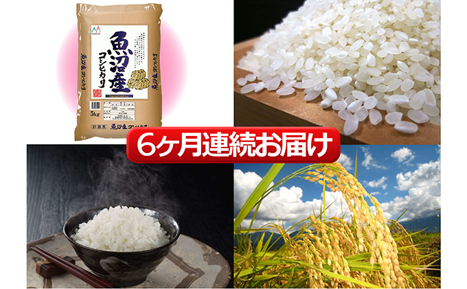 魚沼産 コシヒカリ 5kg 6ヶ月 連続お届け ( 米 定期便 お米 こめ コメ おこめ 白米 こしひかり 6回 30kg お楽しみ )