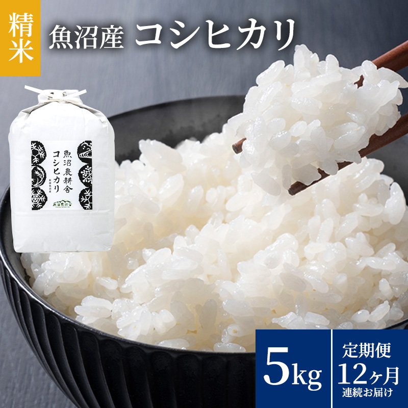 米農家自慢の魚沼産コシヒカリ(精米)5kg×1袋 12ヶ月連続お届け ( 米 お米 こめ コメ おこめ 白米 こしひかり お楽しみ ) 新潟県