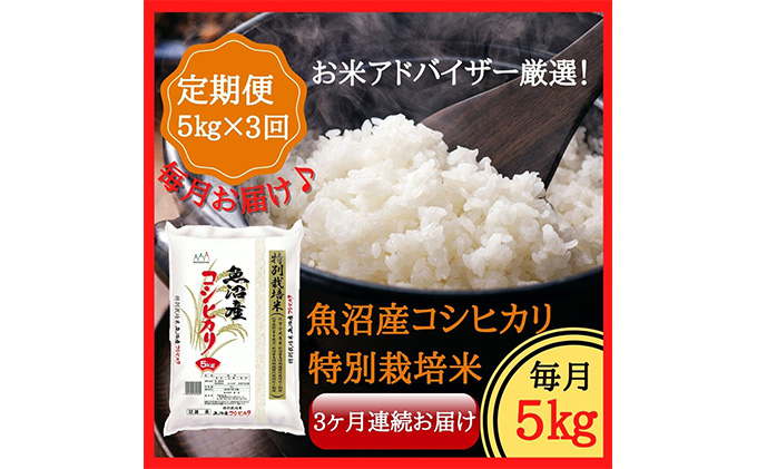 【特別栽培米】 お米アドバイザー厳選 魚沼産 コシヒカリ （精米） 5kg 3ヶ月 連続 （ 定期便 米 精米 白米 お米 こめ コメ こしひかり 魚沼 3回 お楽しみ ）
