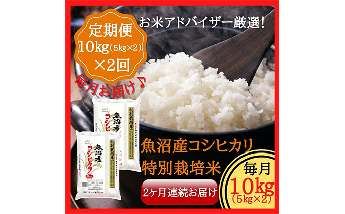 【特別栽培米】お米アドバイザー厳選　魚沼産コシヒカリ（精米）10kg（5kg×2）2ヶ月連続