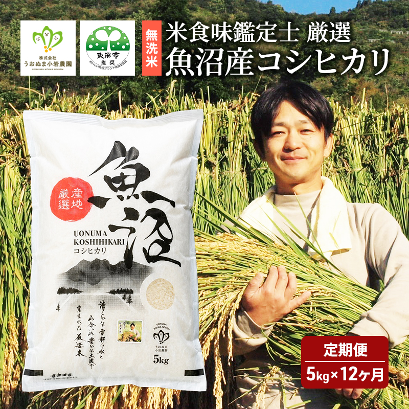 頒布 無洗米 米食味鑑定士 厳選 魚沼産 コシヒカリ 5kg 12ヶ月 連続お届け ( 米 定期便 お米 こめ コメ おこめ 白米 こしひかり 12回 60kg お楽しみ )