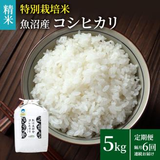 米農家自慢の特別栽培米魚沼産コシヒカリ(精米)5kg×1袋 隔? 全6回お届け