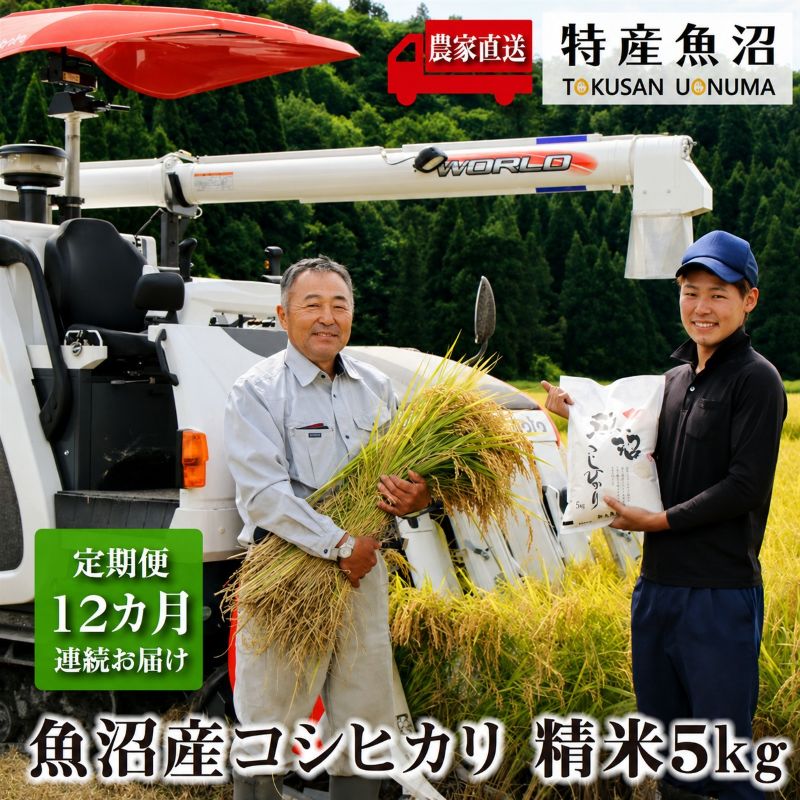 米 定期便 12ヶ月 コシヒカリ 5kg 精米 白米 お米 魚沼産コシ