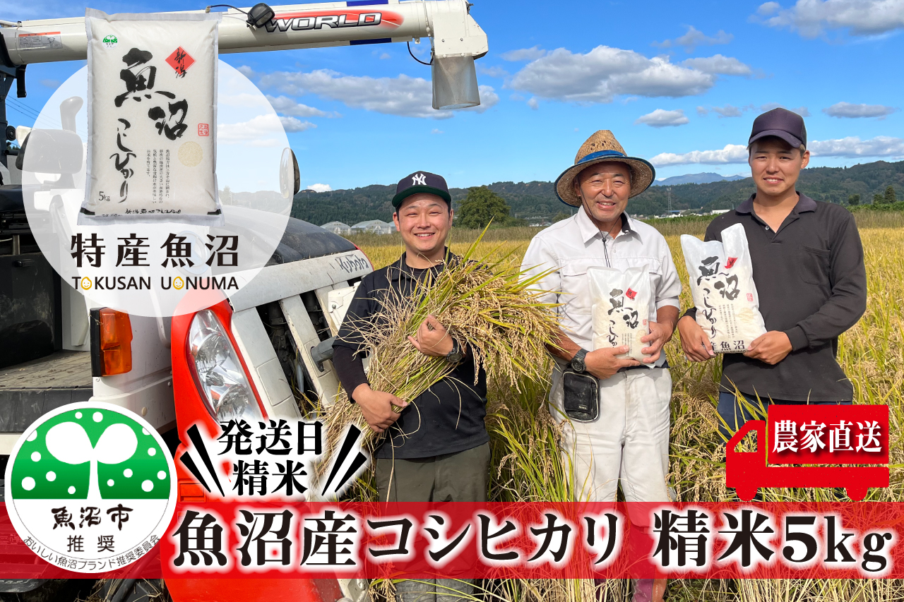 令和7年産 農家直送！ 魚沼産 コシヒカリ 精米 5kg （ 米 こしひかり お米 こめ コメ 魚沼産コシヒカリ 魚沼 新潟 魚沼産こしひかり おこめ 白米 ） 新潟県