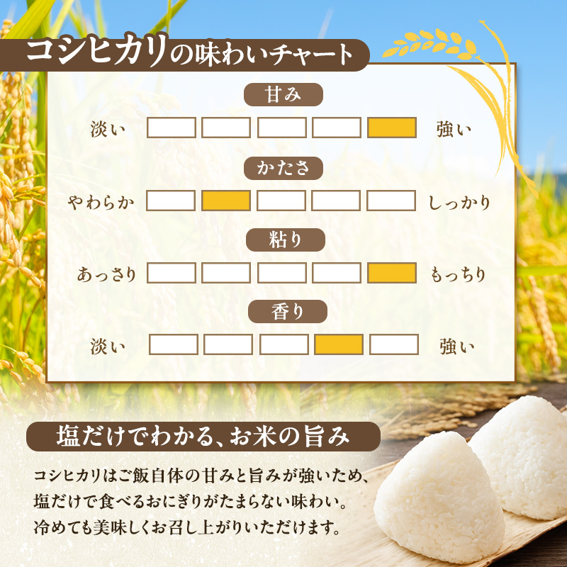 令和7年産 農産物検査員お奨め 魚沼産こしひかり（精米）10kg（5kg×2） お米 コシヒカリ