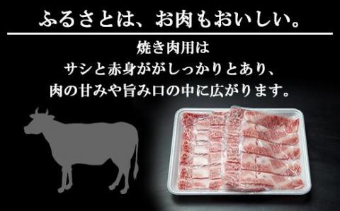 新潟牛 南魚沼産 にいがた 黒毛和牛 焼き肉用 500ｇ 新潟県 南魚沼市