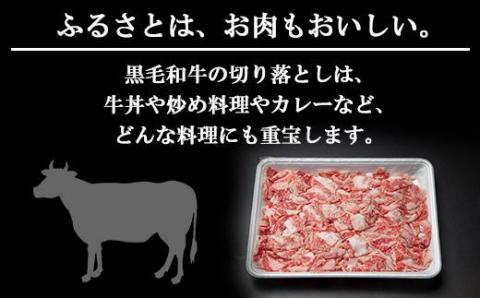 【無地熨斗】新潟和牛 南魚沼産 にいがた 黒毛和牛 切り落とし 500ｇ