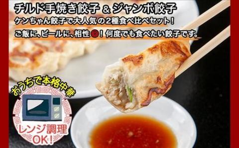 新潟県 南魚沼市 チルド手焼き餃子・ジャンボ餃子 食べ比べ セット 各3パック 計42個 ケンちゃん餃子 冷蔵 中華 点心 惣菜 ビール お取り寄せ グルメ