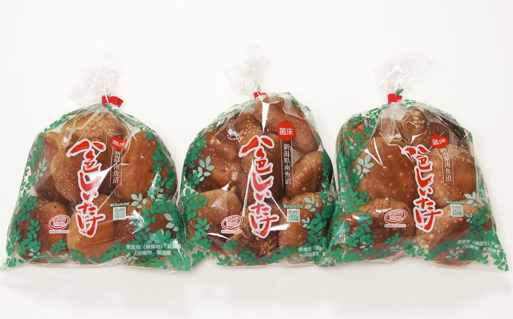 【JAみなみ魚沼定期便】家庭用「八色しいたけ」（750g×全12回） 訳あり 不ぞろい 農家応援 厚いにもほどがある