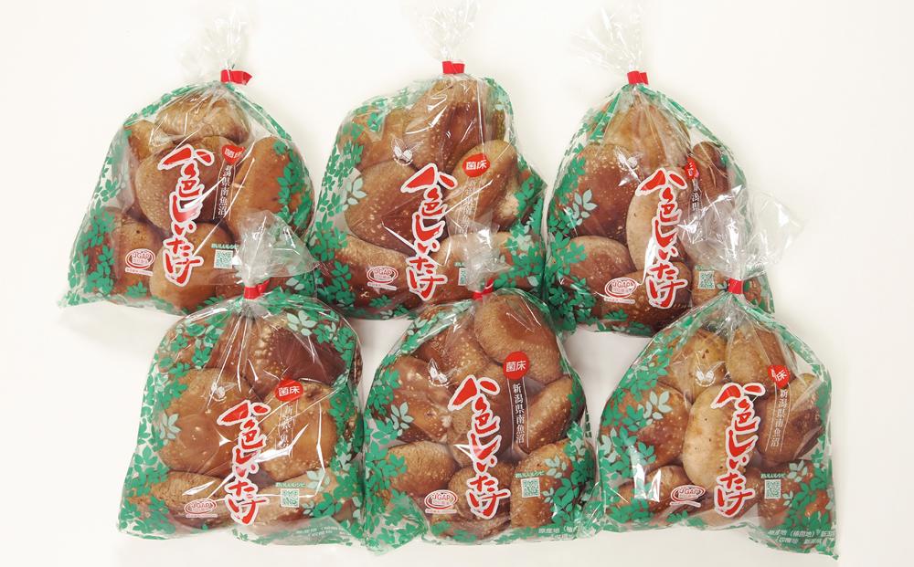 【JAみなみ魚沼定期便】家庭用「八色しいたけ」（1.5kg×全12回） 訳あり 不ぞろい 農家応援 厚いにもほどがある