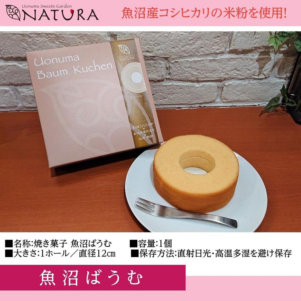バームクーヘン 魚沼ばうむ チョコレート クッキー まんじゅう 焼き菓子 お菓子 洋菓子 コシヒカリ 米粉 スイーツ 新潟県 南魚沼市 ナトゥーラセット 計4箱