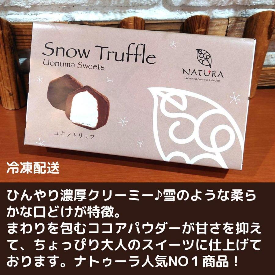 チョコレート ショコラトリュフ ココア 抹茶 スイーツ 生洋菓子  新潟県 南魚沼市 ナトゥーラ 濃厚ひんやり ユキノトリュフ 各1箱（合計2箱）