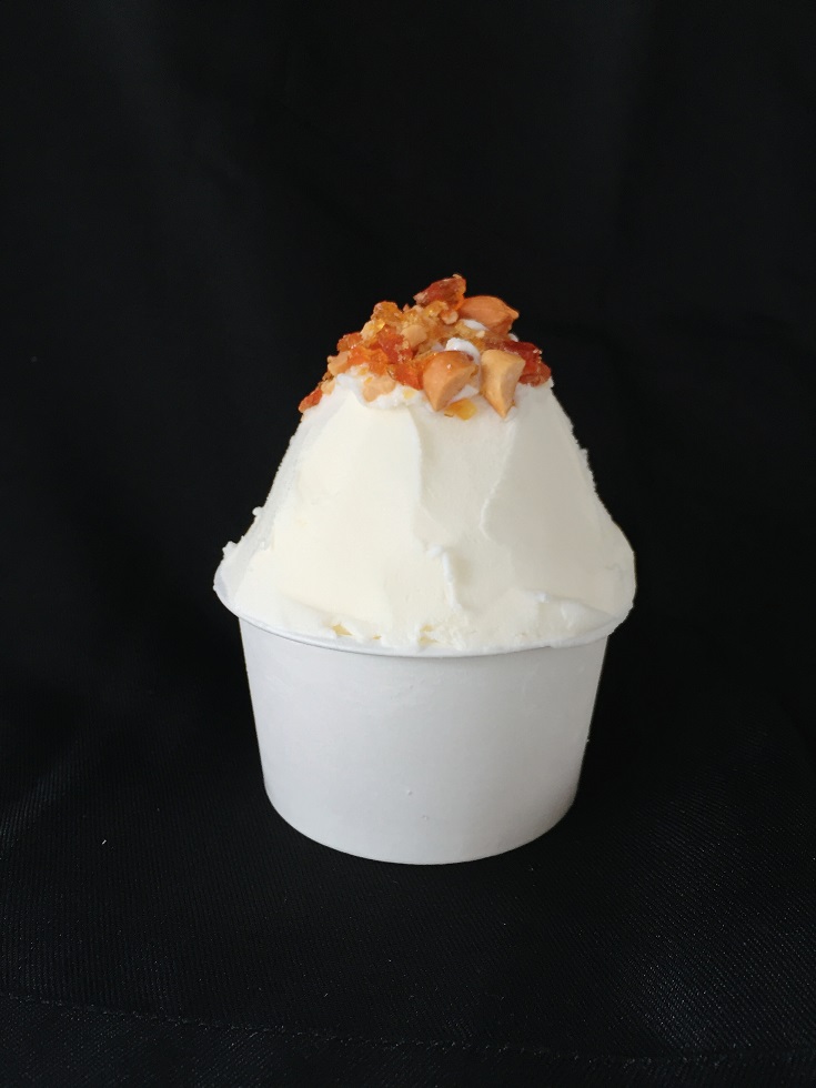 フレミン｜うおぬまの生ジェラート【プラリネロイヤル】業務用1.8L×1個