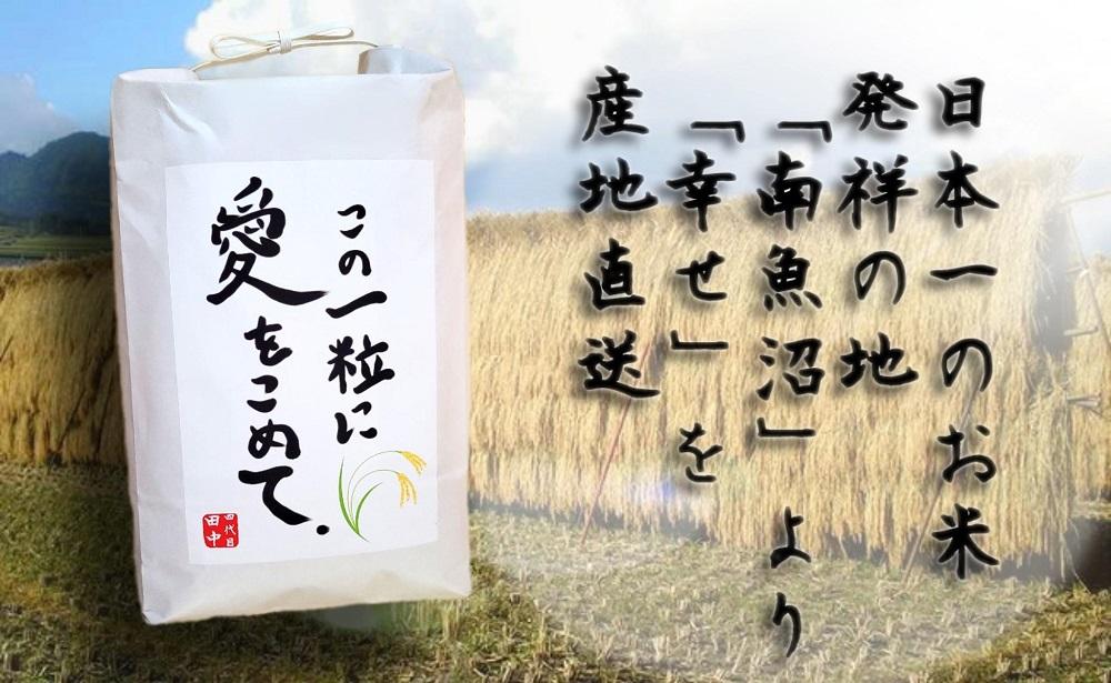 【令和7年産】この一粒に愛をこめて【四代目田中の最高傑作品】精米5kg