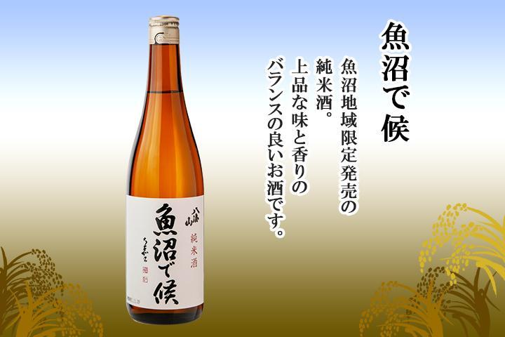 無地熨斗 八海山 日本酒 魚沼 地域限定 2選 各720ml 南魚沼市