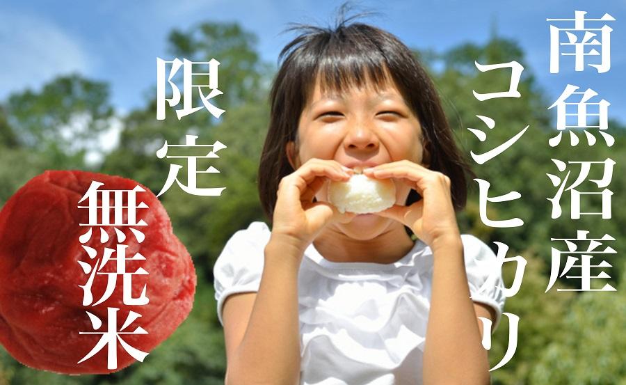 【令和7年産】【定期便】《無洗米》南魚沼産コシヒカリ4Kg×全6回【2025年10月上旬より順次発送予定】