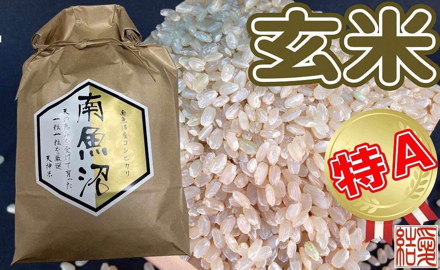 【令和7年産】【定期便】玄米 南魚沼しおざわ産コシヒカリ10Kg×12ヶ月【2025年10月上旬より順次発送予定】