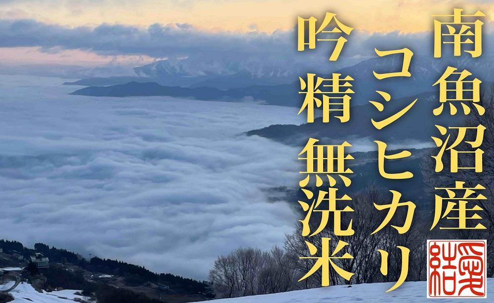 【令和7年産】【定期便8Kg×全6回【無洗米】 南魚沼産コシヒカリ【2025年10月上旬より順次発送予定】