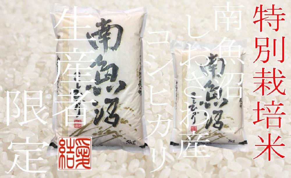 【令和7年産】【定期便10Kg×6ヶ月】【特別栽培米】 契約生産者限定  南魚沼しおざわ産コシヒカリ【2025年10月上旬より順次発送予定】