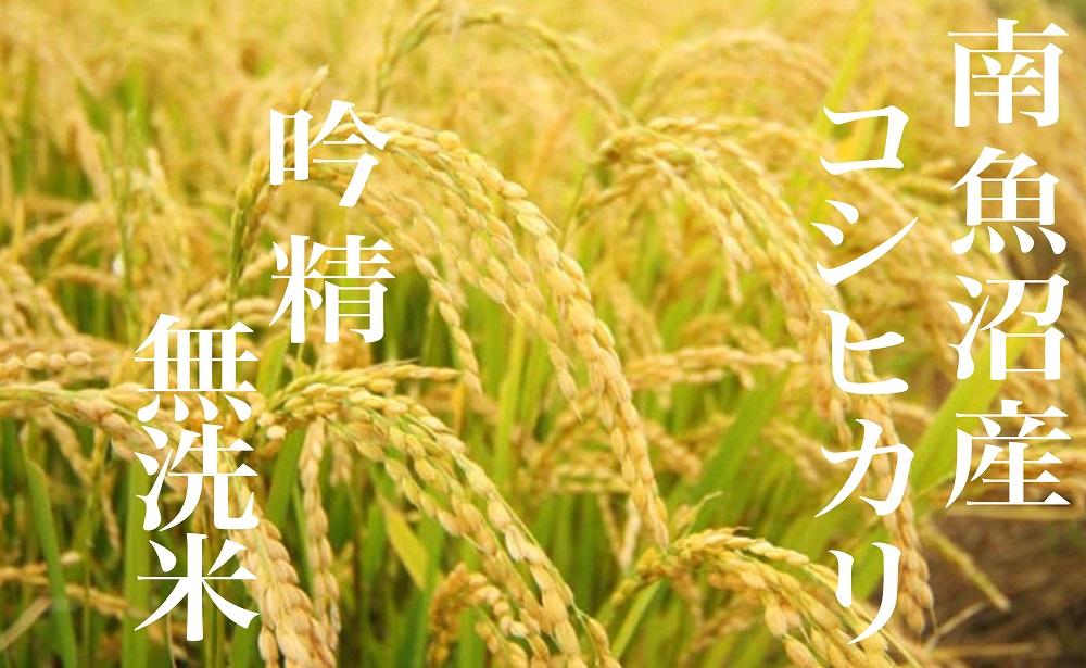 【令和7年産】【頒布会10Kg×全12回】無洗米 吟精 南魚沼産コシヒカリ【2025年10月上旬より順次発送予定】