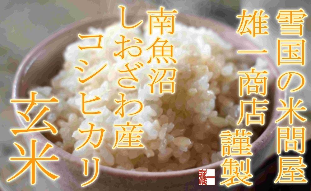 【令和7年産】●玄米● 【定期便10Kg×12ヶ月】 生産者限定 南魚沼しおざわ産コシヒカリ【2025年10月上旬より順次発送予定】
