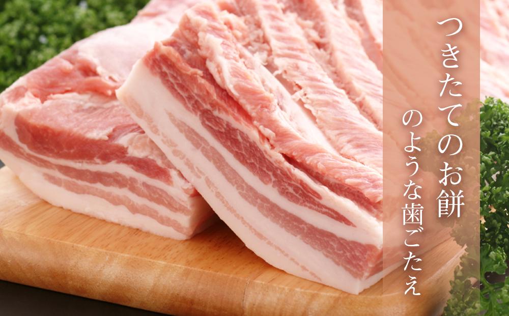 越後もちぶた焼肉セット