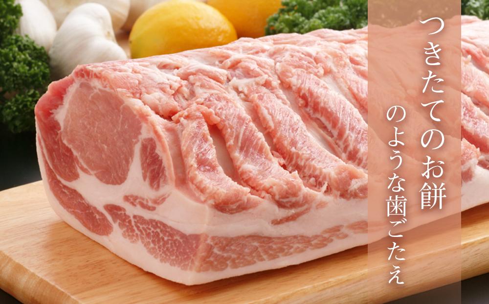 越後もちぶたしゃぶしゃぶセット