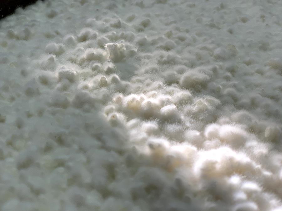 木桶仕込み天然醸造味噌500ｇ4個詰