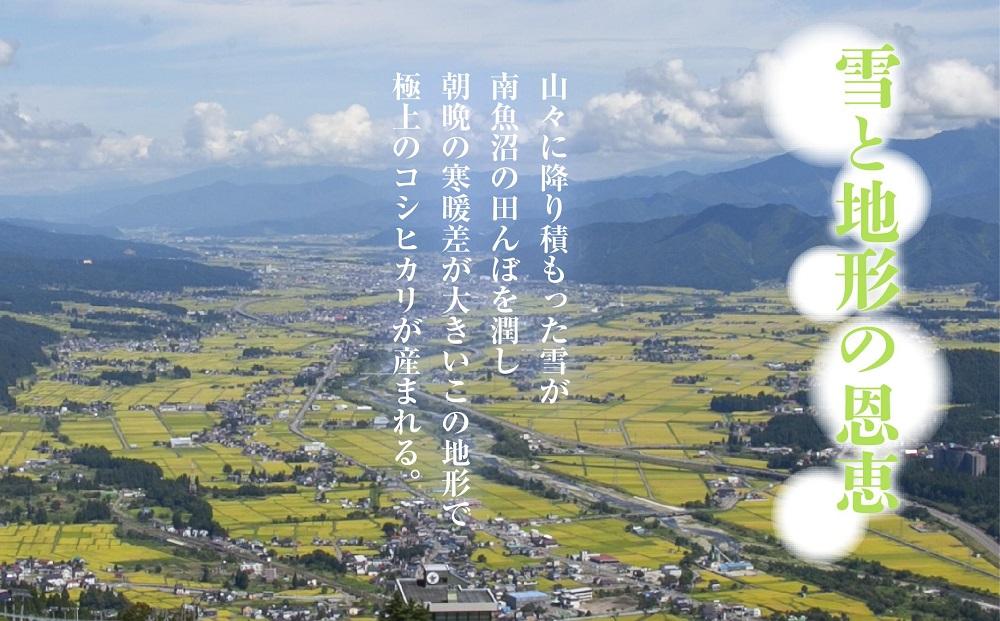 無地のし 「無洗米」 令和7年産 新潟県 南魚沼産 コシヒカリ お米 2kg 精米済み（お米の美味しい炊き方ガイド付き） お米 こめ 白米 こしひかり 食品 人気 おすすめ 送料無料 魚沼 南魚沼 南魚沼市 新潟県産 新潟県 精米 産直 産地直送 お取り寄せ