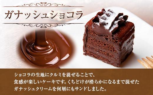 ES210 新潟県 南魚沼市 ガナッシュショコラ 計1個 ケーキ チョコレートケーキ チョコレート ショコラ 洋菓子 お菓子 菓子 手土産 スイーツ 贈り物 ギフト