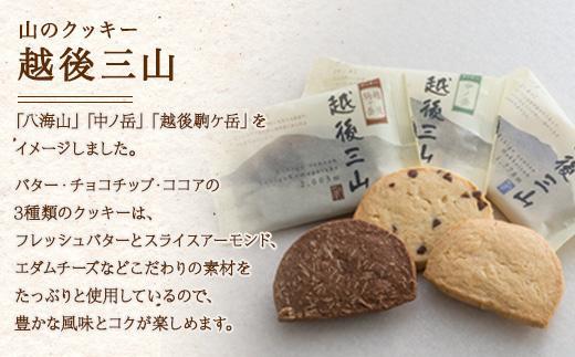 無地熨斗 越後三山 山のクッキー 各4枚 計12個 クッキー チョコチップ ココア 和菓子 洋菓子 お菓子 菓子 焼き菓子 セット 菓子詰合せ 詰め合わせ スイーツ ギフト おかしとおやき ことう 新潟県 南魚沼市