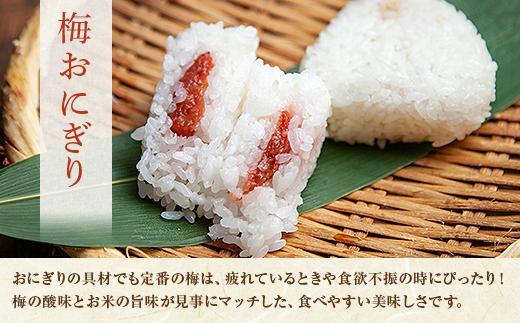 (M-21)おにぎり コシヒカリ 梅 80g×計6個 魚沼産 梅おにぎり 梅干し うめ ウメ おむすび 冷凍 こしひかり ごはん ご飯 冷凍保存 新潟県産 魚沼 国産 おやつ 夜食 精米 米 お米 こめ コメ めし徳 新潟県 南魚沼市