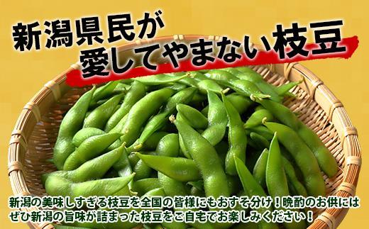 【予約販売】令和7年産 枝豆 500g×2袋 計1kg えだまめ 豆 つまみ おつまみ 酒の肴 晩酌 酒 ビール おやつ おかず 豆ごはん 冷蔵 越季 新潟県 南魚沼市